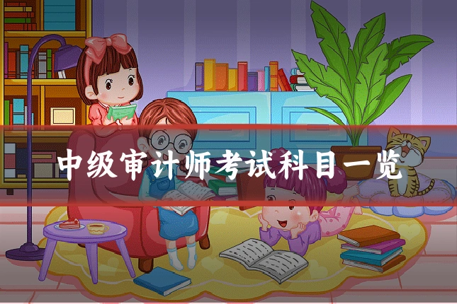 中级审计师考试科目一览
