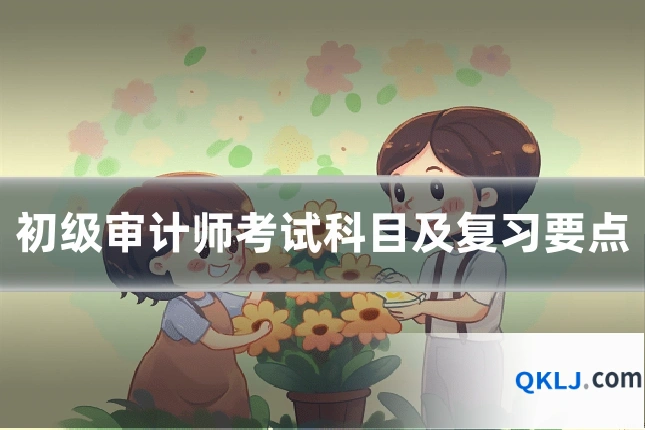 初级审计师考试科目及复习要点