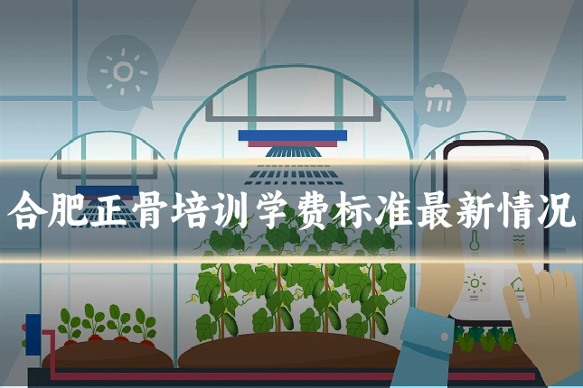 合肥正骨培训学费标准最新情况