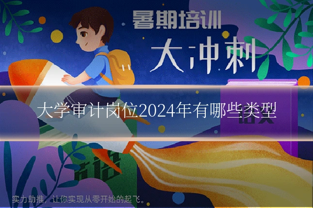 大学审计岗位2024年有哪些类型