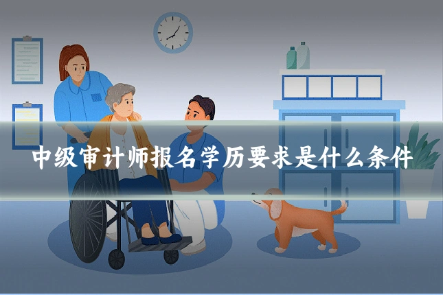 中级审计师报名学历要求是什么条件