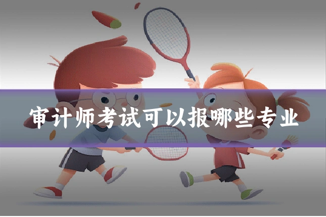 审计师考试可以报哪些专业