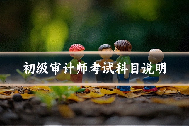 初级审计师考试科目说明