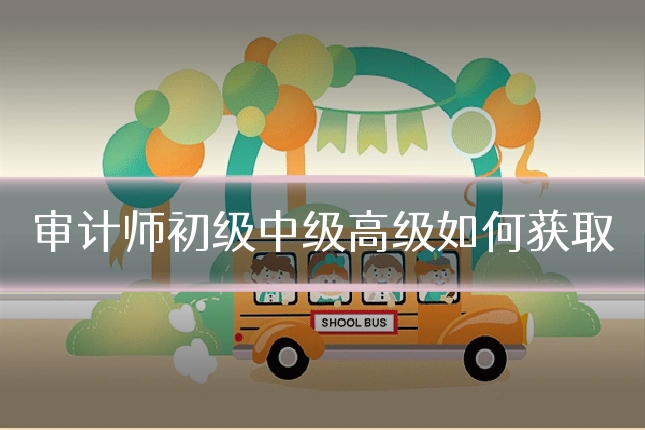 审计师初级中级高级如何获取