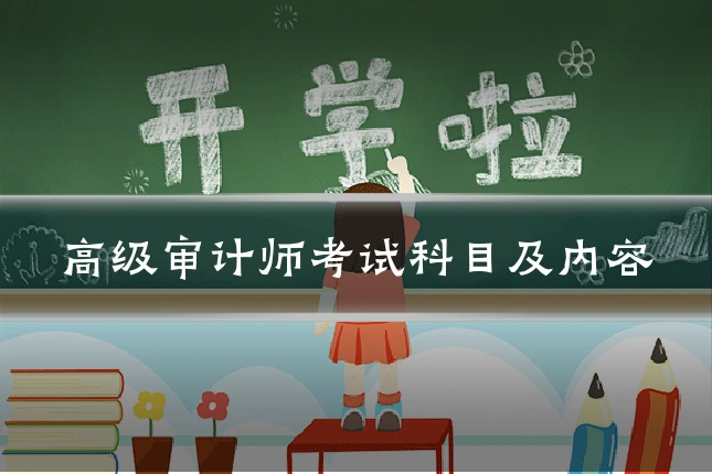 高级审计师考试科目及内容