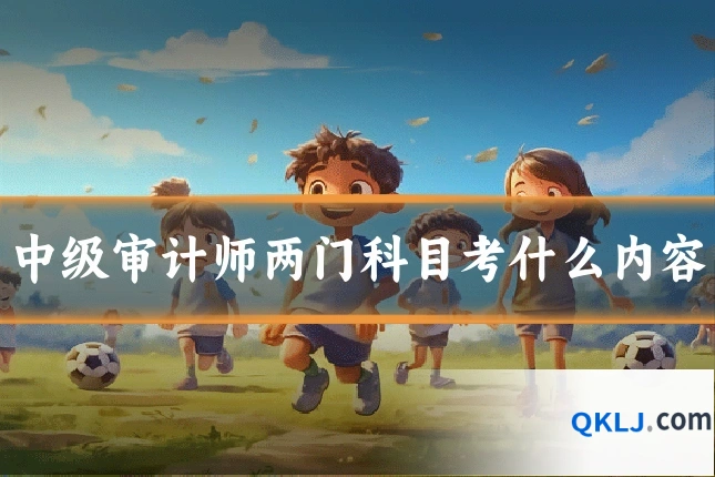中级审计师两门科目考什么内容