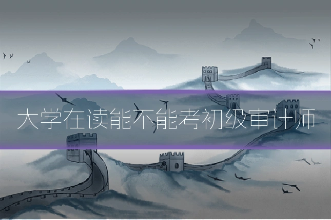 大学在读能不能考初级审计师