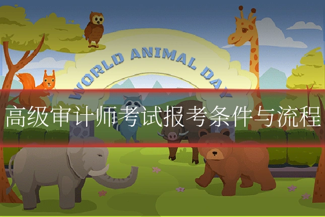 高级审计师考试报考条件与流程