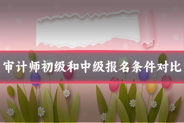 审计师初级和中级报名条件对比