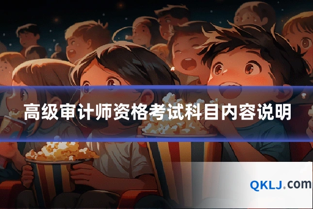 高级审计师资格考试科目内容说明