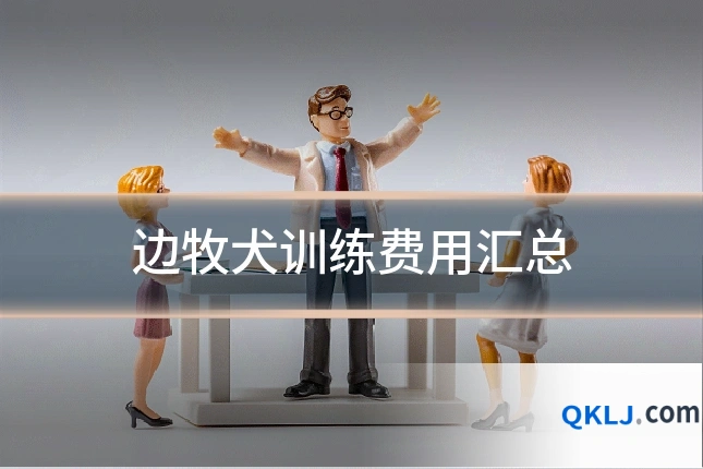 边牧犬训练费用汇总