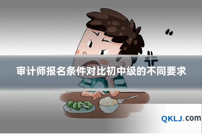 审计师报名条件对比初中级的不同要求