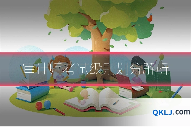 审计师考试级别划分解析