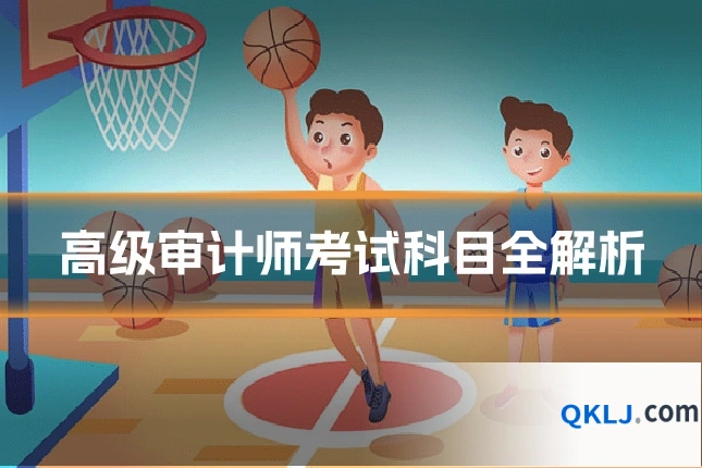 高级审计师考试科目全解析