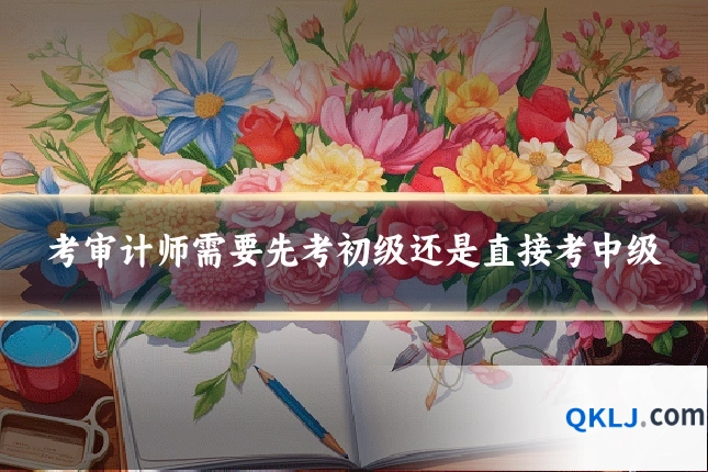 考审计师需要先考初级还是直接考中级