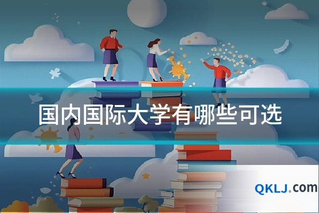 国内国际大学有哪些可选