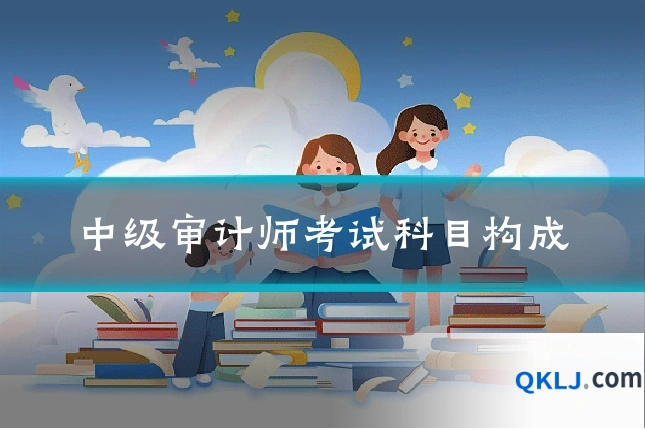 中级审计师考试科目构成