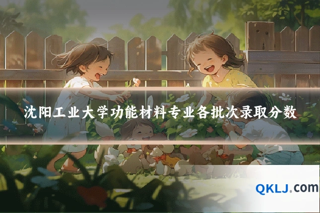 沈阳工业大学功能材料专业各批次录取分数