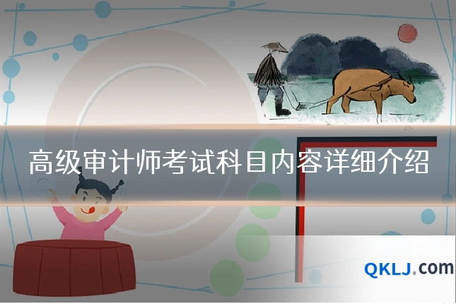 高级审计师考试科目内容详细介绍