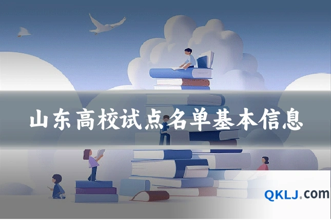 山东高校试点名单基本信息