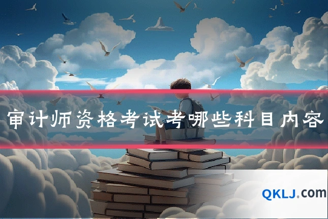 审计师资格考试考哪些科目内容