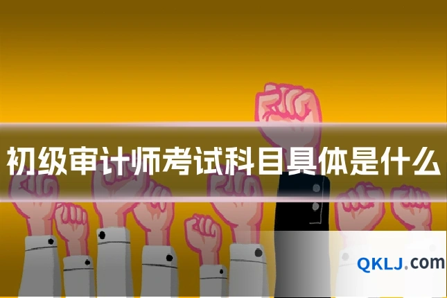 初级审计师考试科目具体是什么