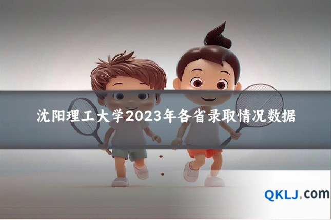 沈阳理工大学2023年各省录取情况数据