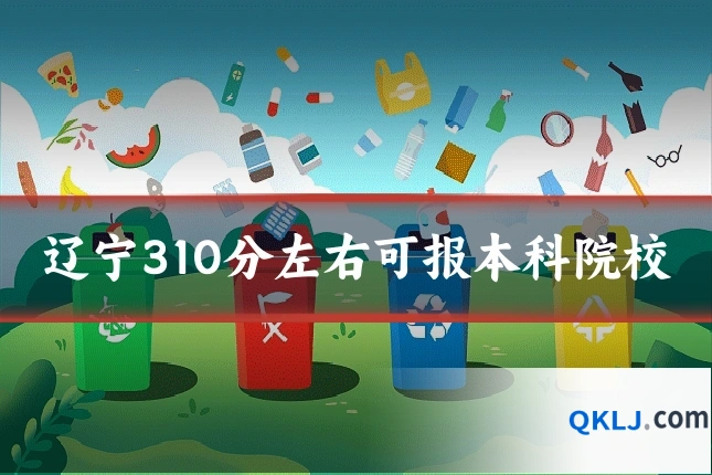 辽宁310分左右可报本科院校