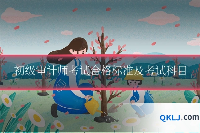 初级审计师考试合格标准及考试科目