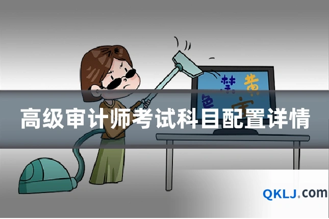 高级审计师考试科目配置详情