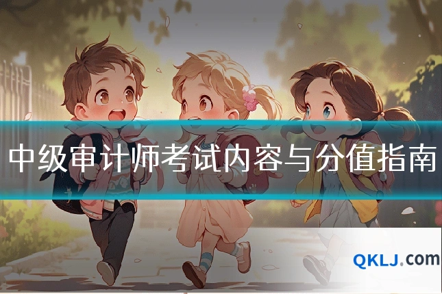 中级审计师考试内容与分值指南