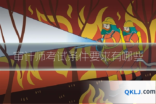 审计师考试条件要求有哪些