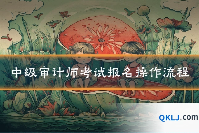 中级审计师考试报名操作流程