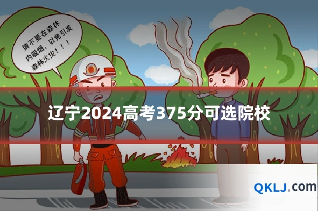 辽宁2024高考375分可选院校