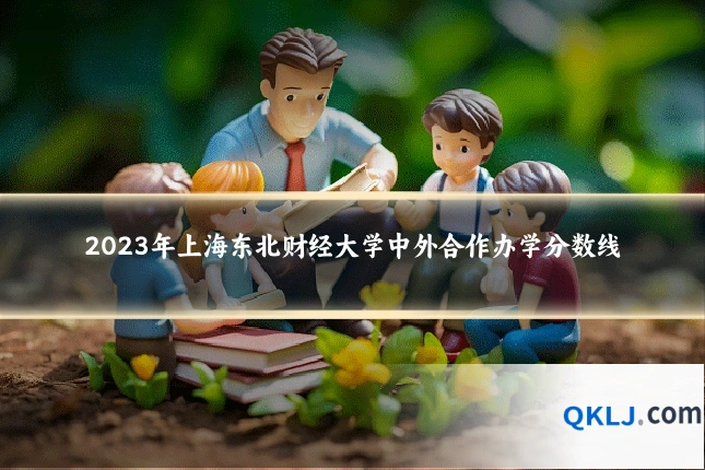 2023年上海东北财经大学中外合作办学分数线