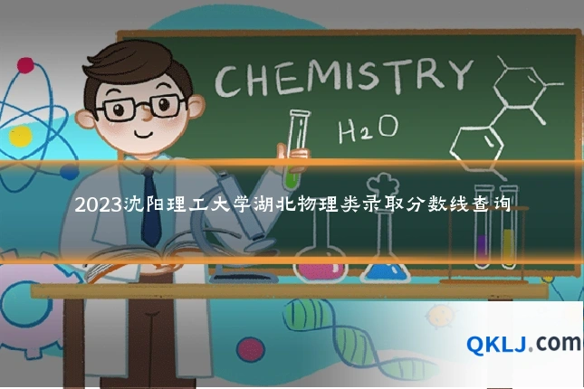 2023沈阳理工大学湖北物理类录取分数线查询