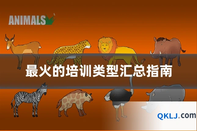 最火的培训类型汇总指南