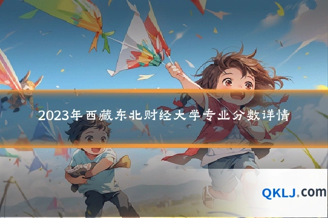 2023年西藏东北财经大学专业分数详情