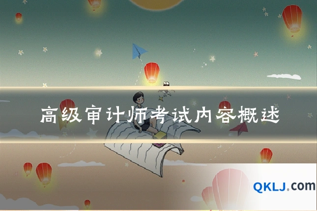 高级审计师考试内容概述