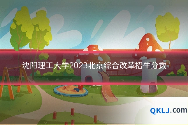沈阳理工大学2023北京综合改革招生分数