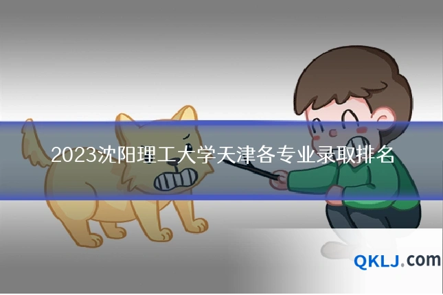 2023沈阳理工大学天津各专业录取排名