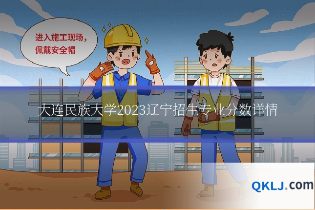 大连民族大学2023辽宁招生专业分数详情