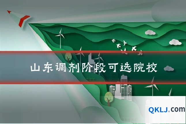 山东调剂阶段可选院校