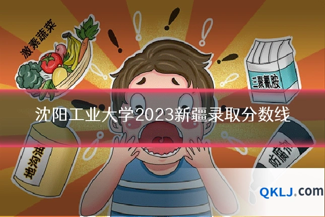 沈阳工业大学2023新疆录取分数线