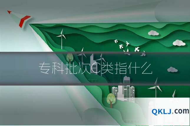 专科批次C类指什么