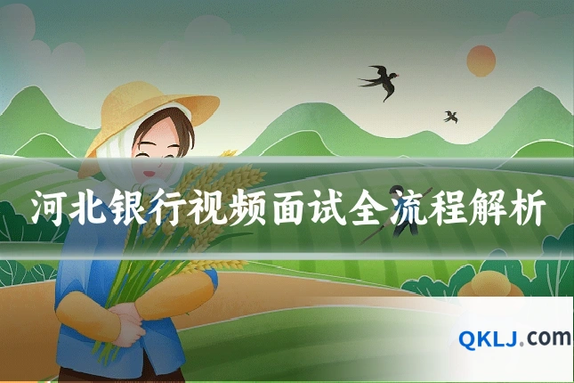 河北银行视频面试全流程解析