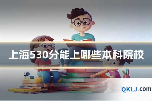 上海530分能上哪些本科院校