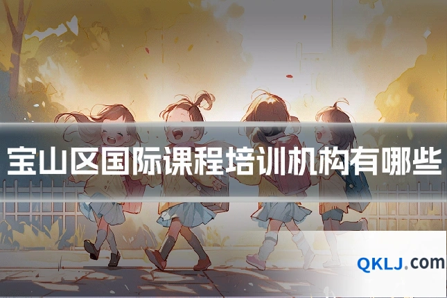 宝山区国际课程培训机构有哪些