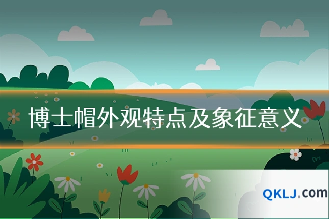 博士帽外观特点及象征意义