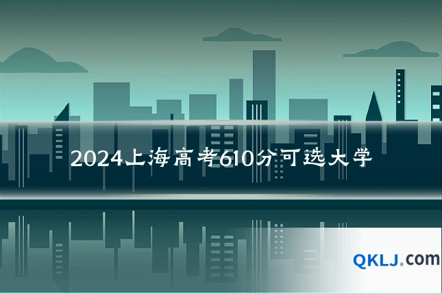 2024上海高考610分可选大学